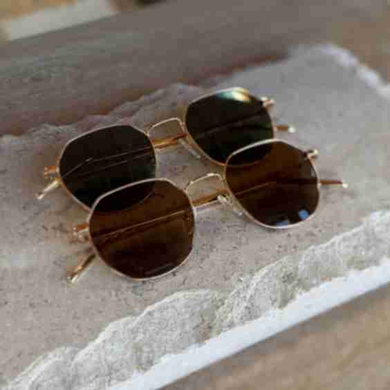 Berkeley Sunglasses