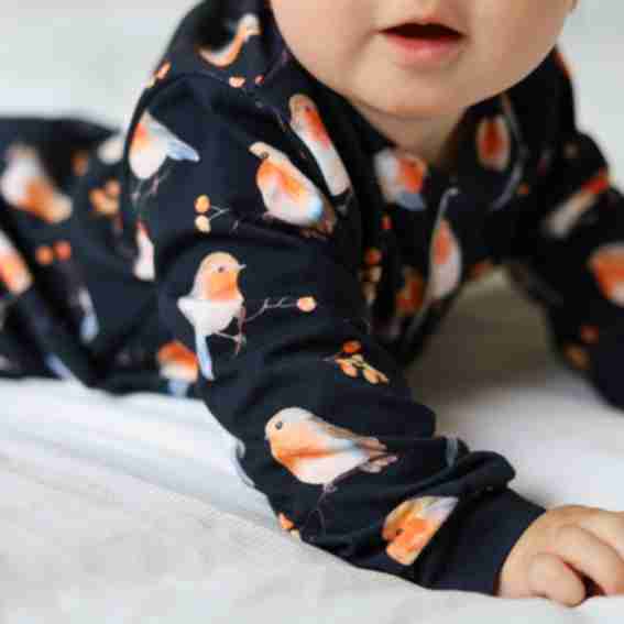 Fred & Noah Reviews