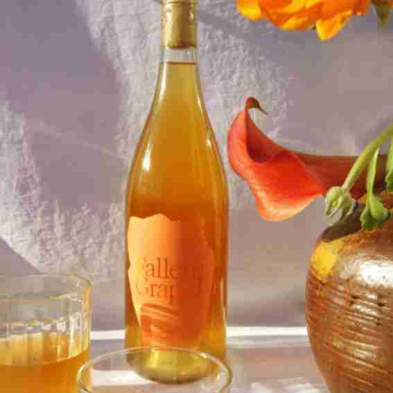 Fallen Grape Wine Reviews
