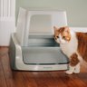 PetSafe