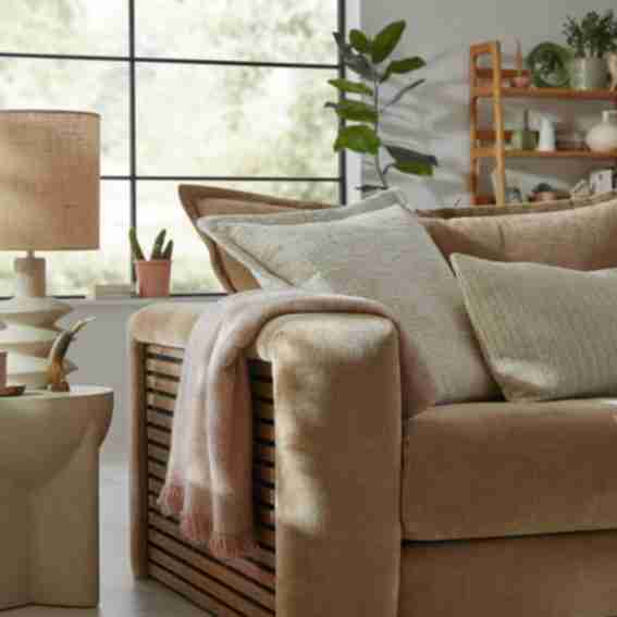 Sofology Reviews
