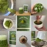 Matcha Sunday