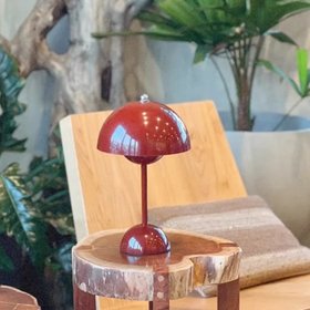Mantar Lamps