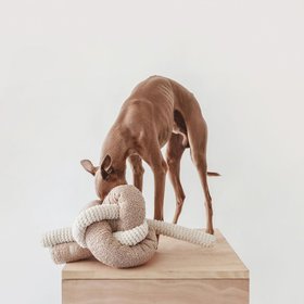 Lambwolf Collective