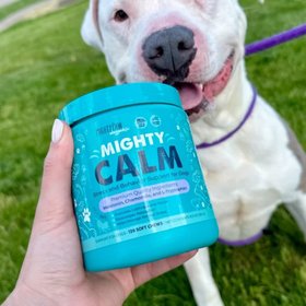 Mighty Paw