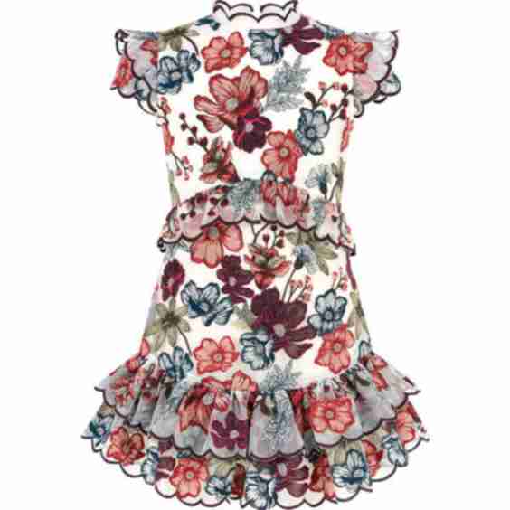 Elana Embroidered Mini Dress