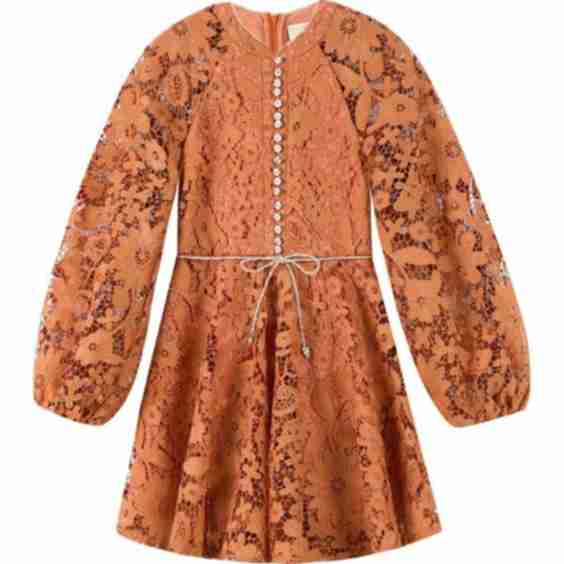 Esme Embroidered Sleeve Mini Dress 