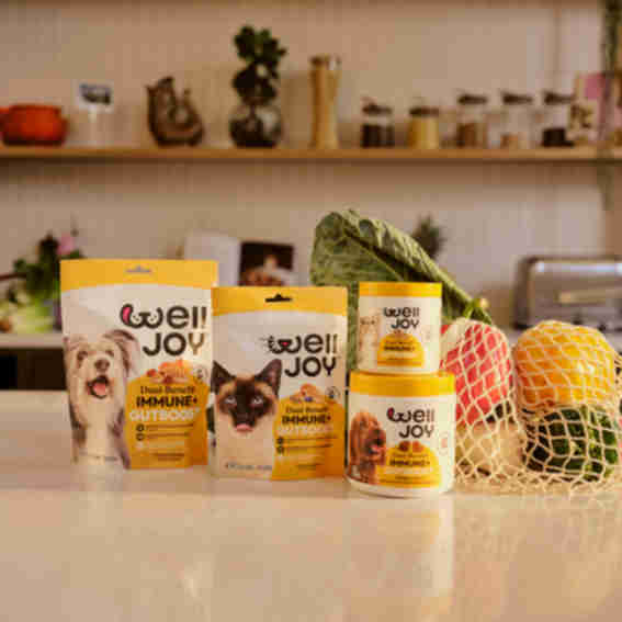 Welljoy Reviews