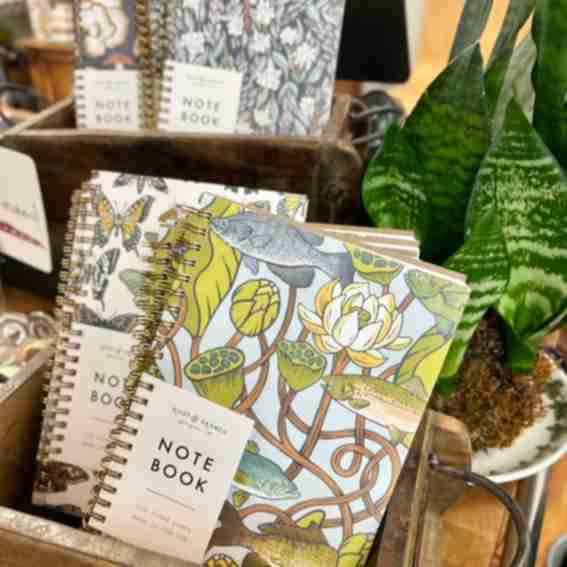 Root & Branch Paper Co. Reviews
