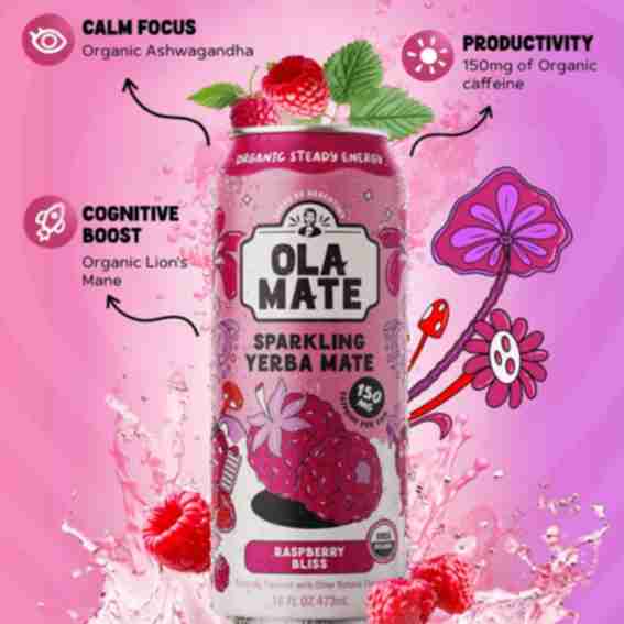 Ola Mate Reviews