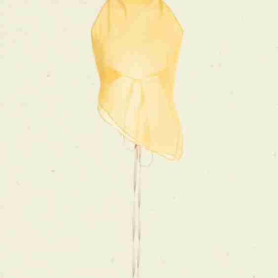Sheer Kite Top