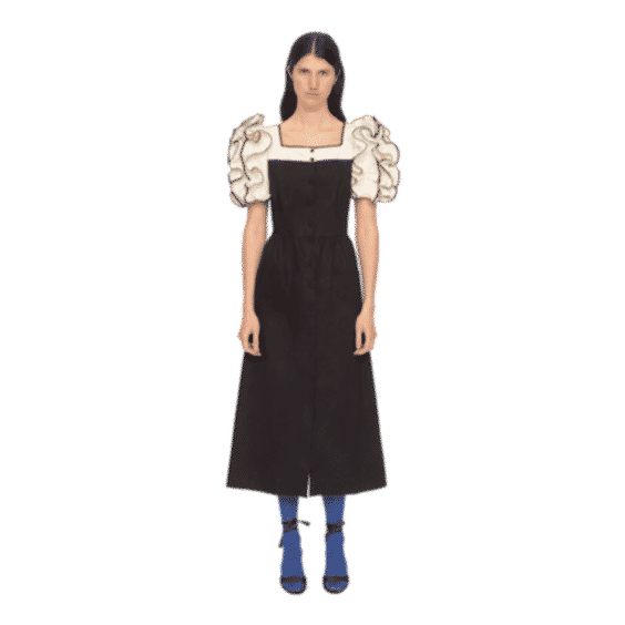 Paloma Puff Slv Dress