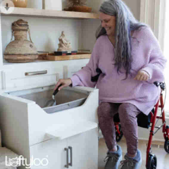 Lofty Loo Reviews