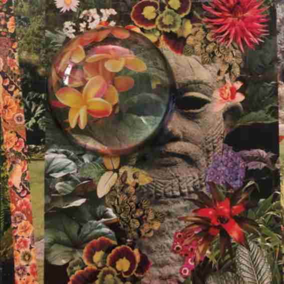 Matthew Craven Reviews