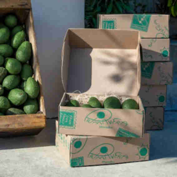 Primavera Avocados Reviews