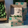 Primavera Avocados