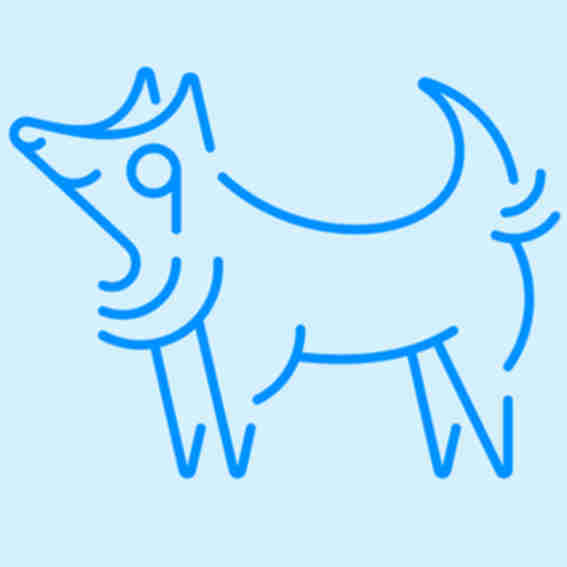 Little Wolf Reviews