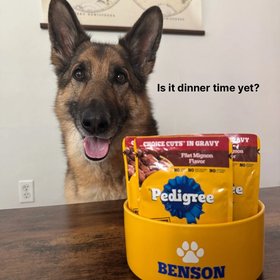 Pedigree