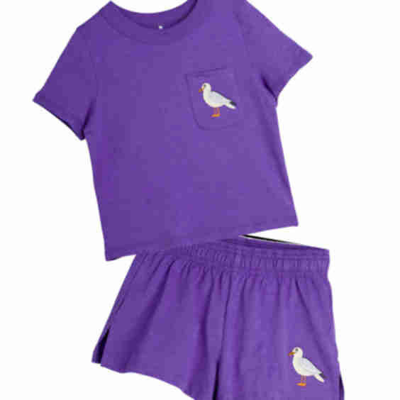 Seagull Tee Set