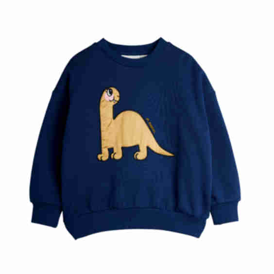 Dino Applique Sweatshirt