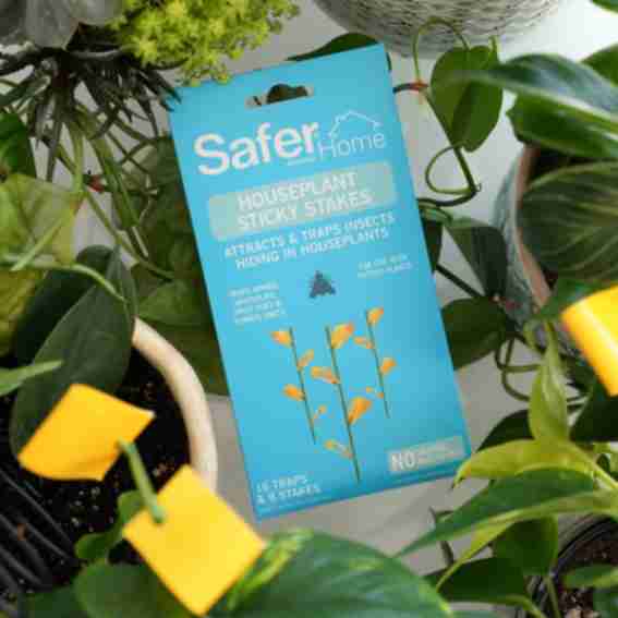 Safer Reviews