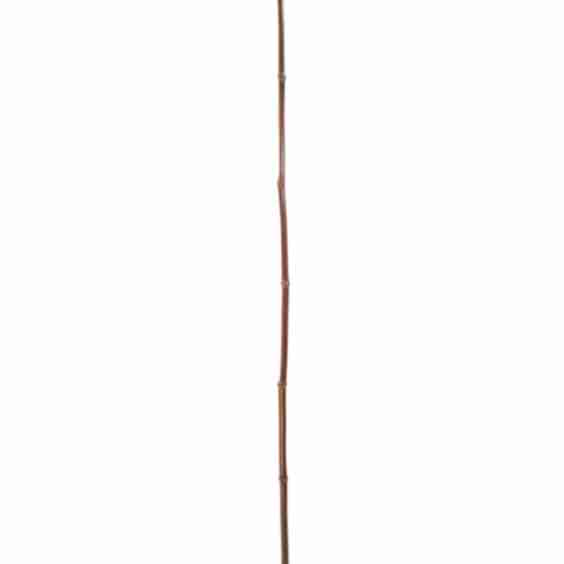 Bordighera Indoor Outdoor Floor Lamp