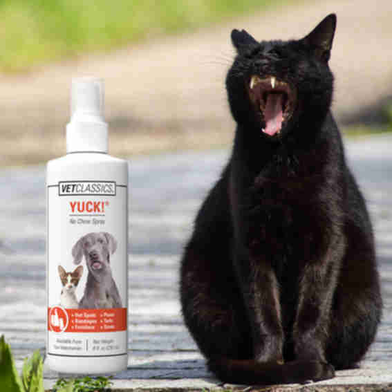 VETCLASSICS Reviews