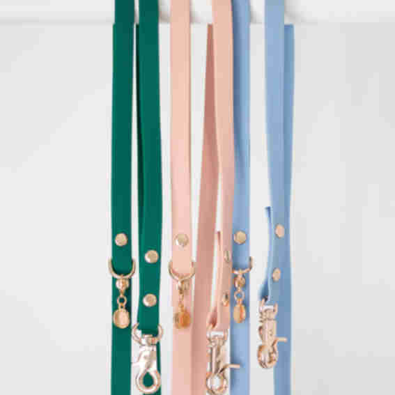 Shop Sunny Tails Reviews
