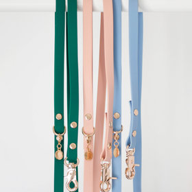 Shop Sunny Tails