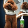 Bio-Groom