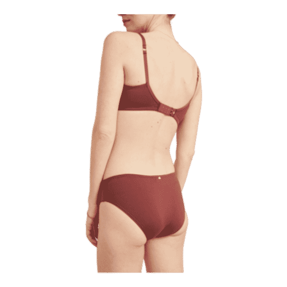 The Everyday Brief
