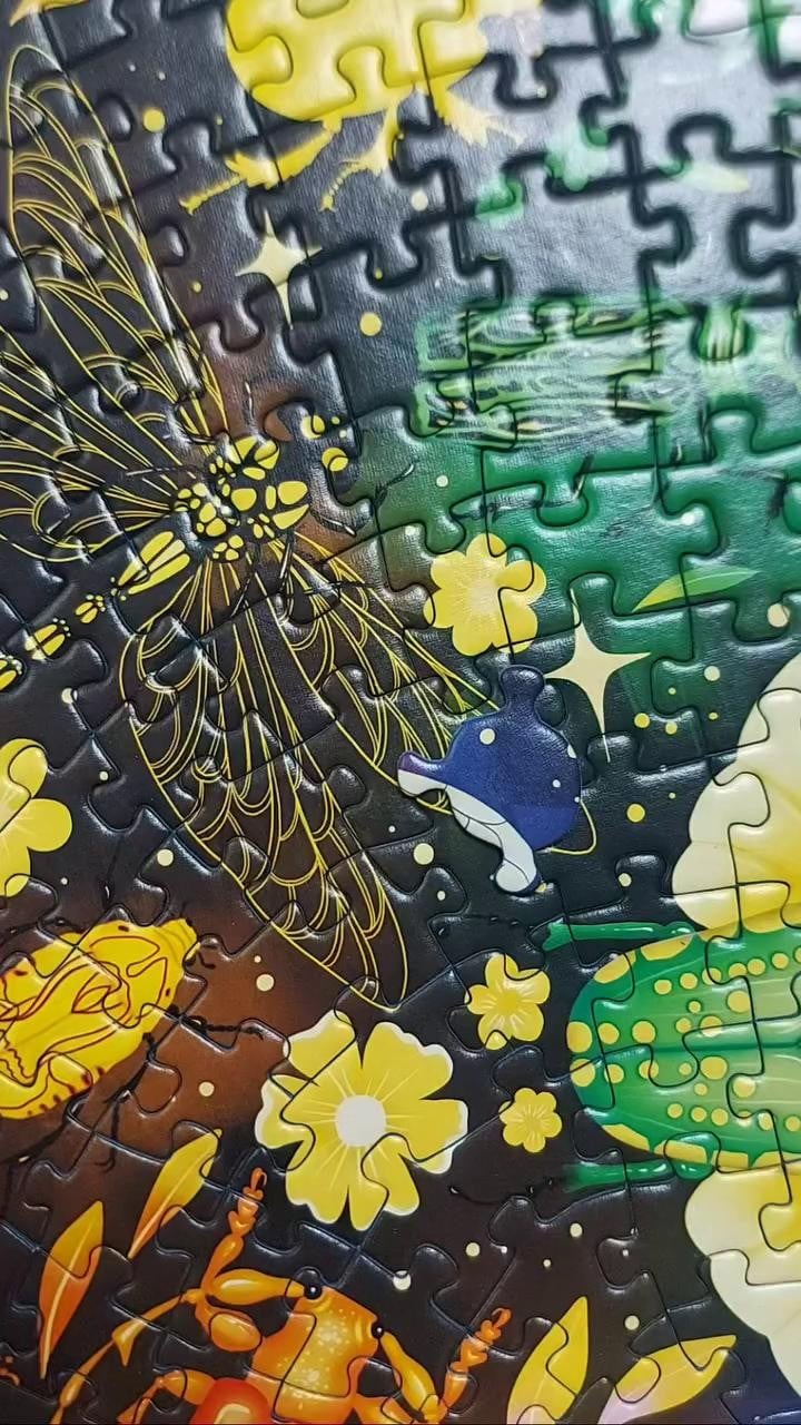 Ravensburger