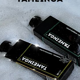 Tameinga