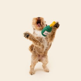 Juno Dog Co