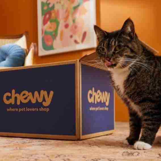 Chewy Reviews