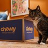 Chewy