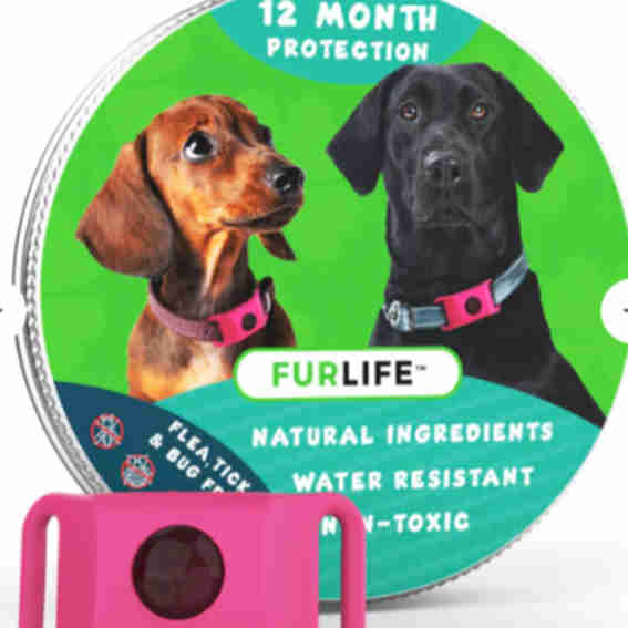 fur life Reviews