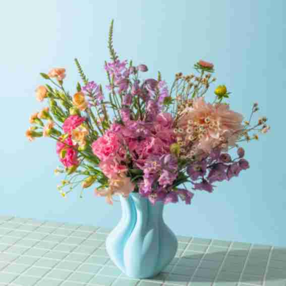 Vases by Finn  Reviews