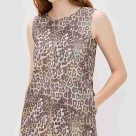 Animal Print Dress