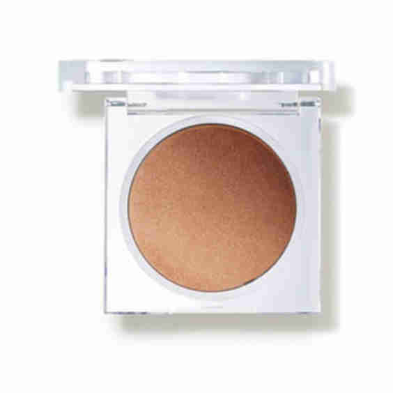 Luminizing Powder