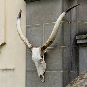 Abbeyhorn