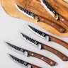 theforgedblade.com
