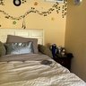 Boring Mattress