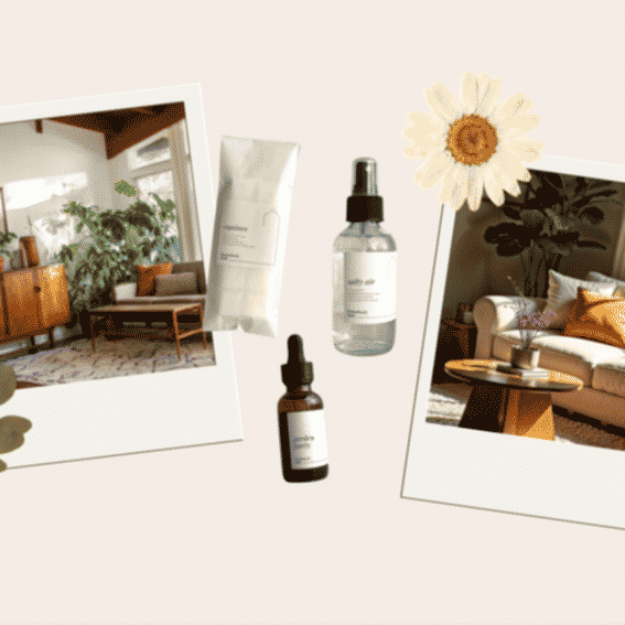 Homebody Hub Reviews