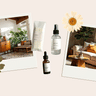 Homebody Hub