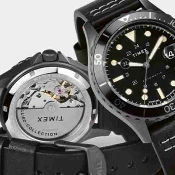 Timex Reviews