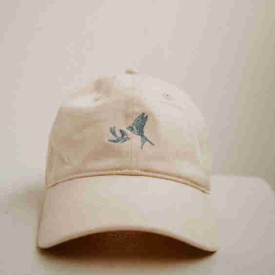 Wcc Ball Cap