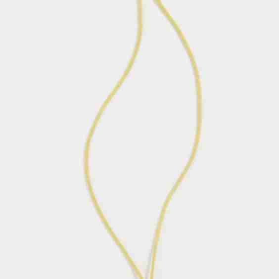 Reverie Shell Cord Necklace