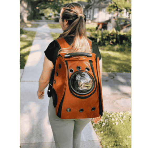 "The City Chic" Cat Backpack