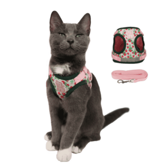 Strawberry Shortcake x Travel Cat Harness & Leash Set - Officially Licensed